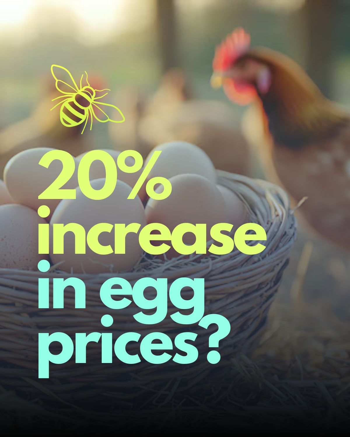 Egg prices to increase 20% or more!
